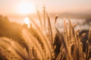 Holy Spirit Led Living